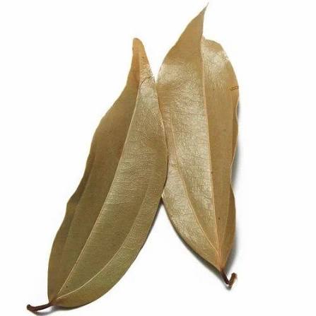Dried cinnamon leaves